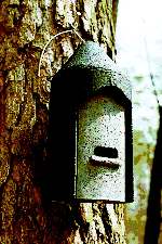 Schwegler Bat Box 2F General Purpose-Hanging