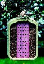 Schwegler Clay & Reed Insect Block