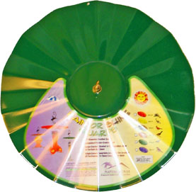 All Weather Guard - Shamrock Green