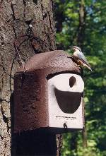 Schwegler Nest Box 2GR