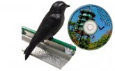 Purple Martin Attraction (image for) Purple Martin Attraction